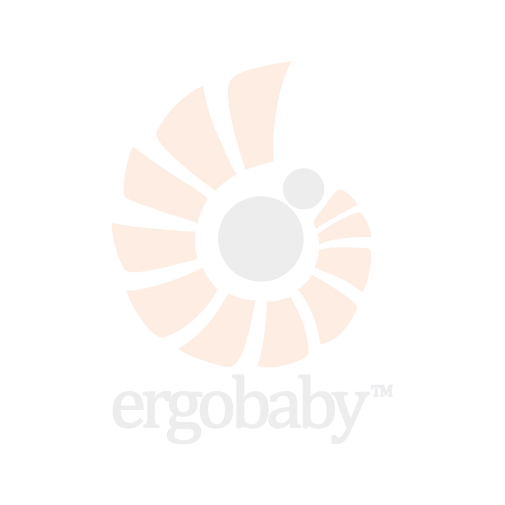 Ergobaby heart rose best sale