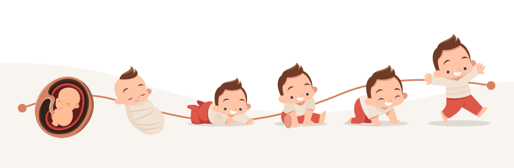 Ergobaby tijdlijn