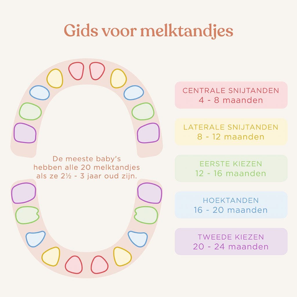 Gids voor de groei van baby's melktanden