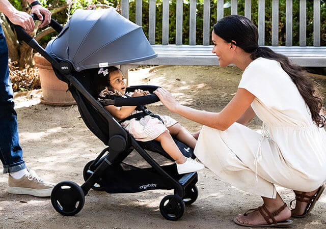 Ergobaby Stroller Accessories Category